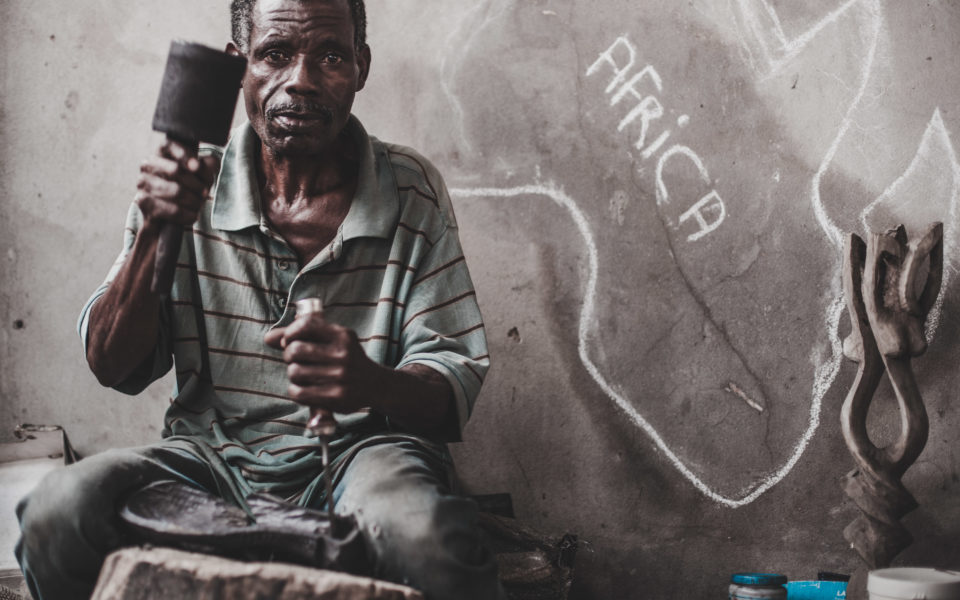 Film sloní války gnomon