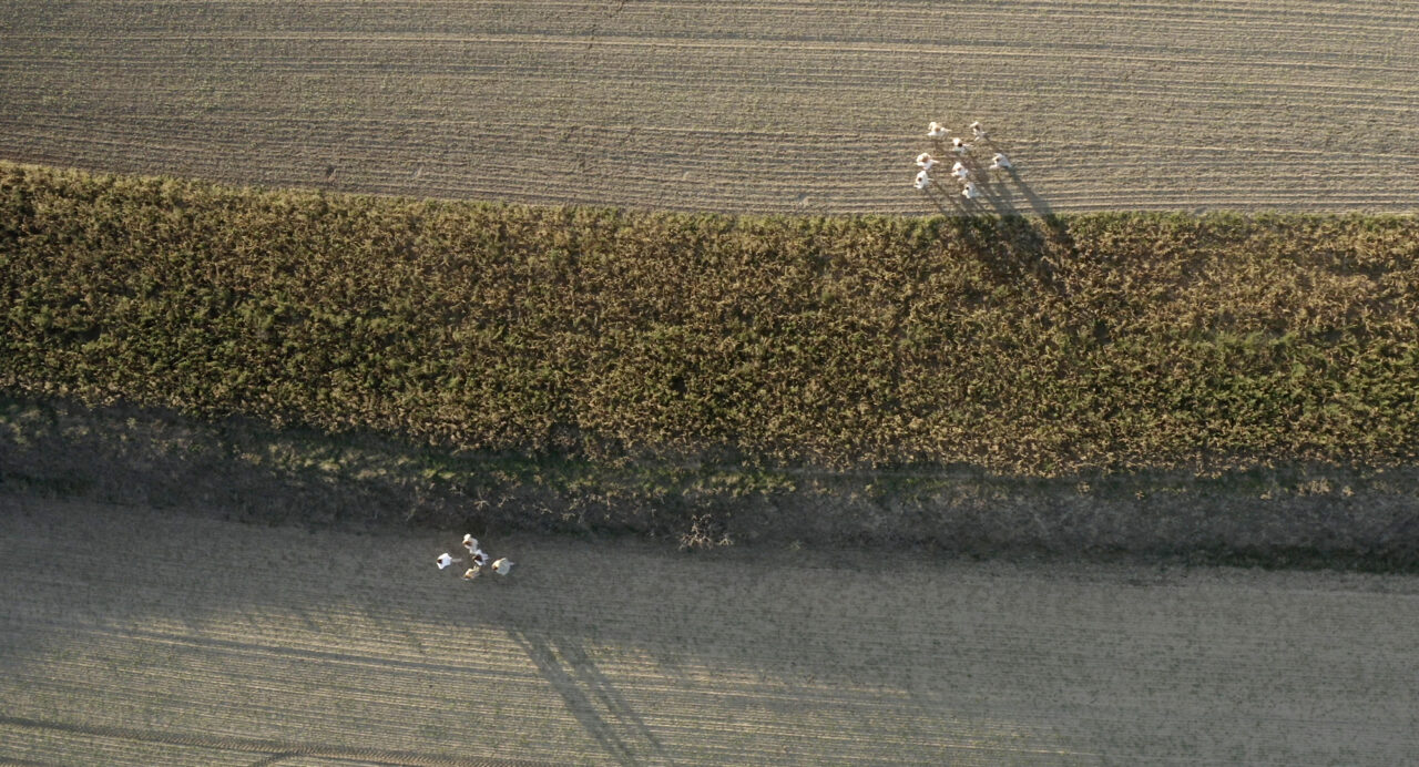 Fibonacci_screenshot04