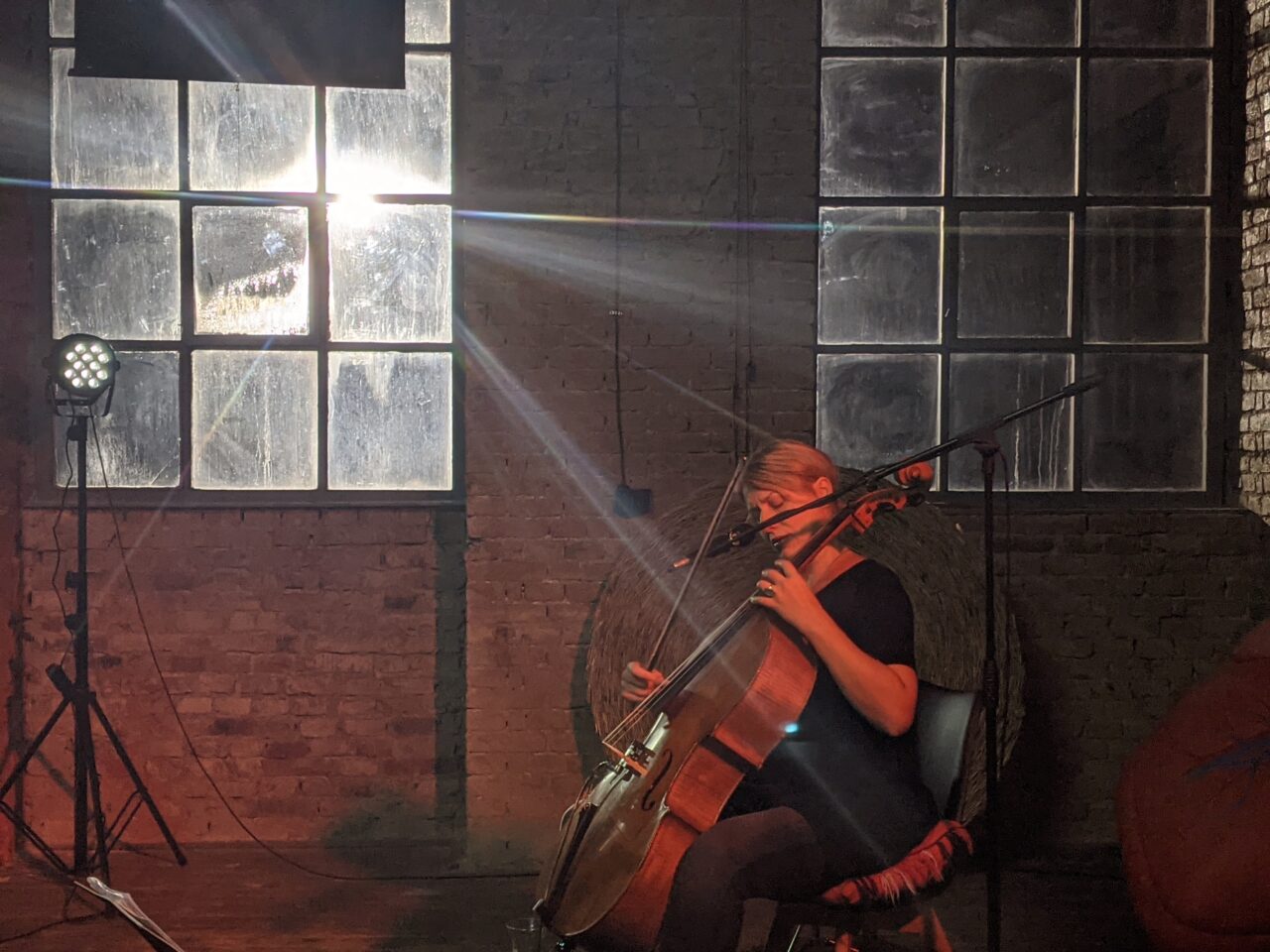 PXL_20201130_191203988.PORTRAIT