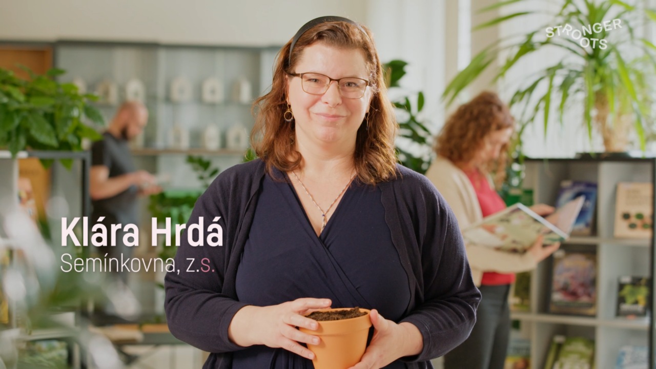 Snímek obrazovky 2026-04-12 153350